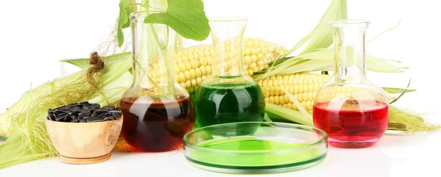 Sustainability criteria for biofuels